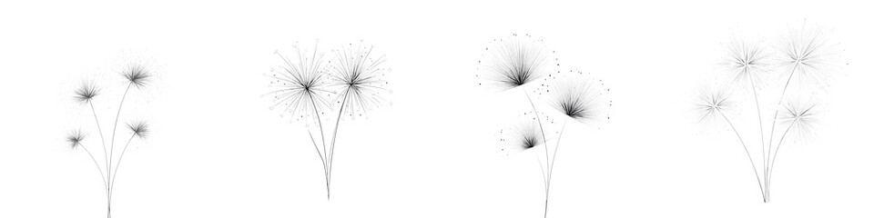 Fototapeta premium Dandelion Seed Head Illustration Set: Delicate Floral Designs