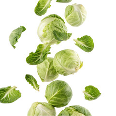 Obraz premium Fresh green brussels sprout vegetable falling mid air. Healthy food isolated transparency background for clean eating and organic diet