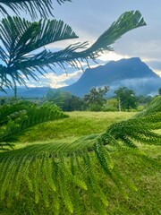 Green yard with mountain chiang dao located in Chiang mai northern part of Thailand