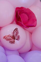 Close up  butterfly on the balloons and rose flower