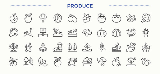 Naklejka na ściany i meble Produce line icon set. Related to art, vegetable, organic and more. Farm icon set. Minimalist linear icons. Pixel perfect. Vector illustration. Naklejka na ściany i meble Produce line icon set. Related to art, vegetable, organic and more. Farm icon set. Minimalist linear icons. Pixel perfect. Vector illustration.