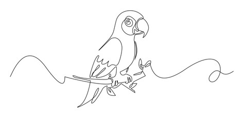 Continuous line drawing of a parrot perched on a branch. One line art showing a tropical bird with simple and elegant minimal design.