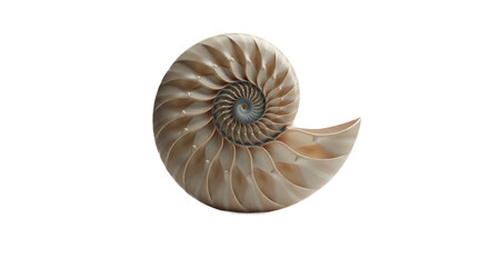 Obraz premium Nautilus Shell Cross Section Soft Light Isolated Neutral Background