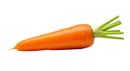 Orange Carrot with Green Stems Isolated on Black Background