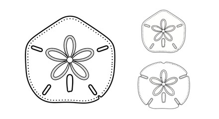Detailed line art illustration of three sand dollar marine invertebrates © msunny93