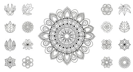 Intricate black and white floral mandala patterns and botanical illustrations