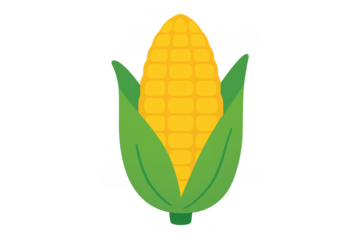 Corn on the cob illustration with green husk, depicting a fresh yellow vegetable, farming, and food concept