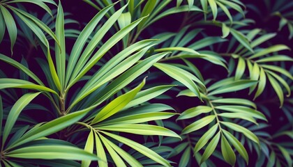 Lush Tropical Foliage Serene Green Shades