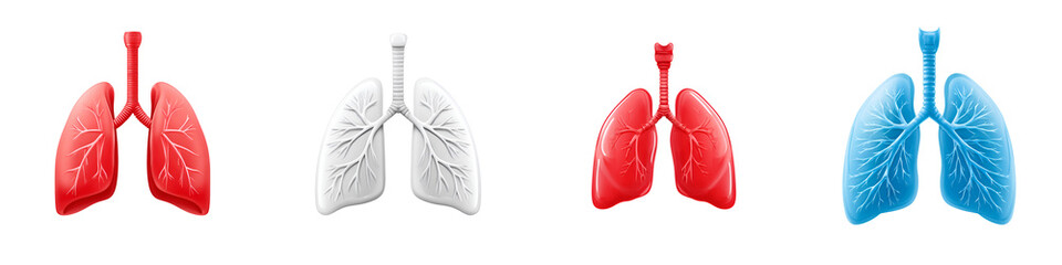 Lungs Illustration in Red, White and Blue on White Background