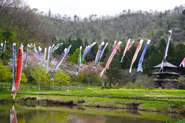 鯉のぼりと三重塔（山形県まほろば古の里歴史公園）/Japanese three stories pagoda with Japanese carp-shaped streamer