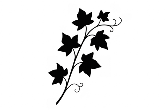 Black ivy vine branch with leaves silhouette