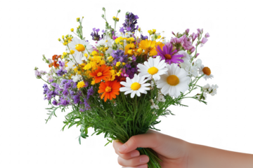 Hand holding colorful wildflower bouquet isolated on a transparent background