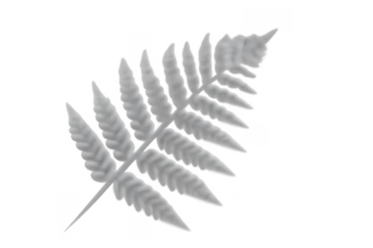 White fern leaf illustration on transparent background - Powered by Adobe