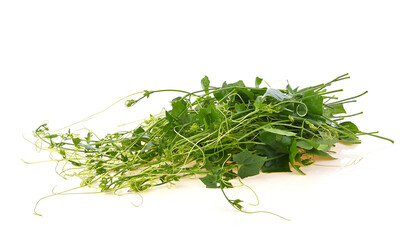 Ivy Gourd leaf. pile of Ivy Gourd on white background. Top view