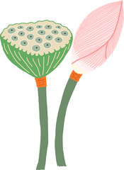 Lotus Flower and Seed Pod with Green Leaves Pink Petals Botanical Illustration Flat Minimalist Style for Floral Nature Design and Decorative Artwork
