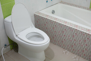 White toilet in the bathroom with bathtub