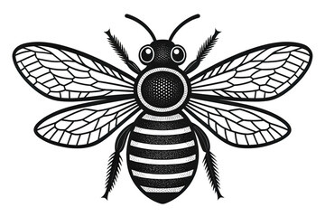 Illustration of a bee isolated on transparent background, detailed and intricate
