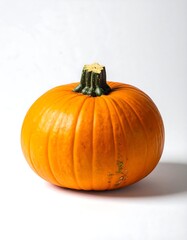 A whole, round, orange squash with a green stem against white