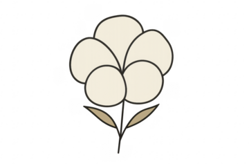 Cartoon cotton flower plant drawing on transparent background