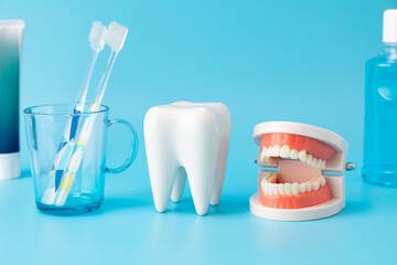 Naklejka na ściany i meble 歯磨きを大切に01 Naklejka na ściany i meble 歯磨きを大切に01