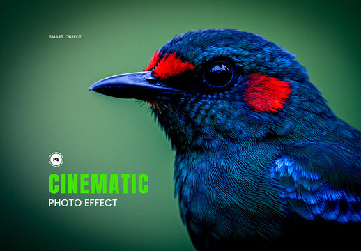 Cinematic Photo Effect