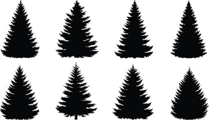 Collection of evergreen pine trees silhouettes, winter forest design elements, black fir trees vector illustration for nature, Christmas, landscape, decoration, and art.