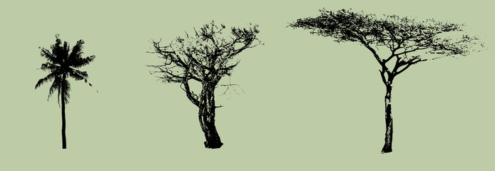 set of section tress outline for landscape design drawing. Vector illustration