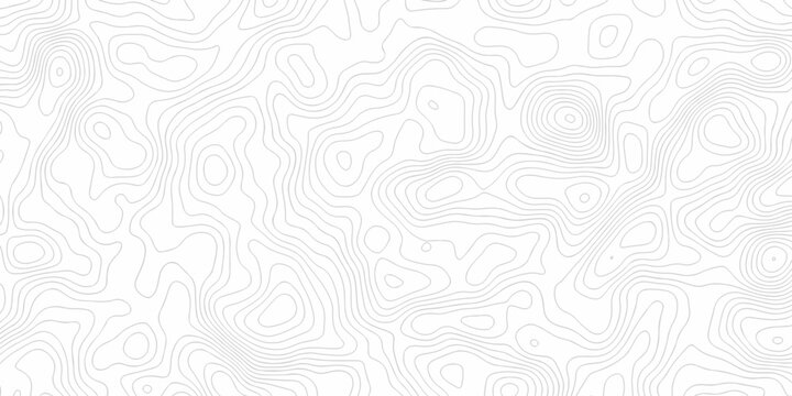 seamless pattern and topography map and counter map. abstract sea map area space geometrics line technology topo landscape grid map texture.	