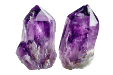 Two amethyst points display striking purple hues