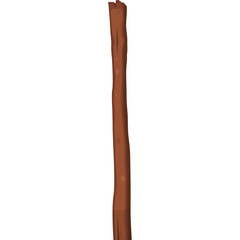 A Textured Wooden Stick with a Transparent Background for Design Elements