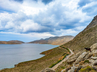 A goat looks out over Arginonta Bay on the island of Kalymnos in Greece. It is a popular destination for sport climbers.