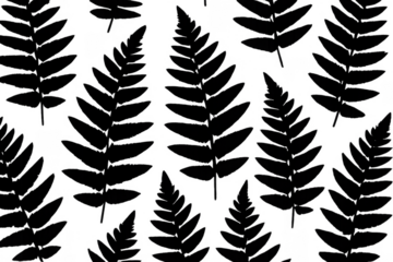 Fern plant botanical silhouette pattern on transparent background