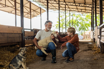 Grandfather holding lamb with grandson bonding in barn © PintoArt