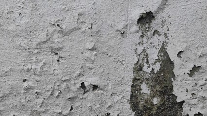 black and white image of a cracked wall. cracked white paint on a white background. old cracked texture, dry land crack texture for overlay, cracked wall texture grunge background. White black grey. 