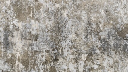black and white image of a cracked wall. cracked white paint on a white background. old cracked texture, dry land crack texture for overlay, cracked wall texture grunge background. White black grey. 
