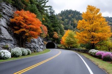 Obraz premium Blue Ridge Parkway tunnel curving through autumn foliage