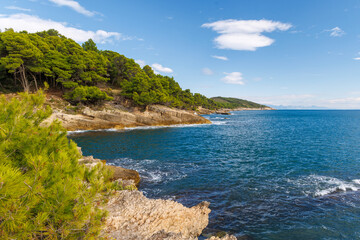Mediterranean landscape with sea, mountains, and pine trees