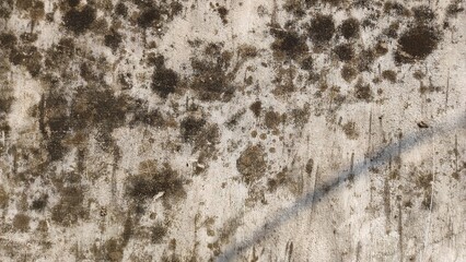 Abstract dark gradient backdrop. Color wall of studio, room, stand for product display or photo. Modern banner with empty place for advertising text. Vector illustration. Dark grey textured concrete.