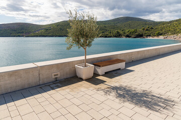 Olive tree and cozy bench on the Mediterranean seaside promenade © evgeeenius