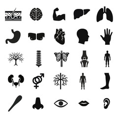 Anatomy glyph icon set. Vector pictograms of body organs, bone, skeleton, spine, eye, ear, nose, mouth, lips, hand, foot, stomach, kidneys, bladder, black sign silhouette illustration