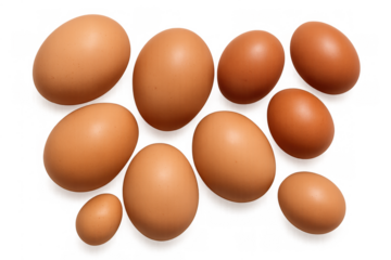 Brown chicken eggs on a transparent background, fresh farm produce for healthy breakfast cooking or baking ingredients