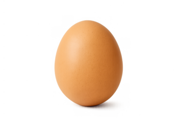 Brown chicken egg, a grocery and food ingredient, offering protein. Transparent background for easy integration
