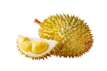 Spiky, yellow durian cut open, revealing creamy flesh
