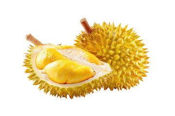 Durian fruit, cut open showing yellow pulp, spiky skin
