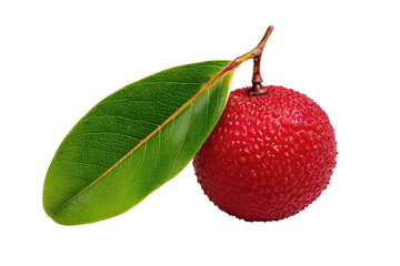 Textured red fruit & green leaf on a stem