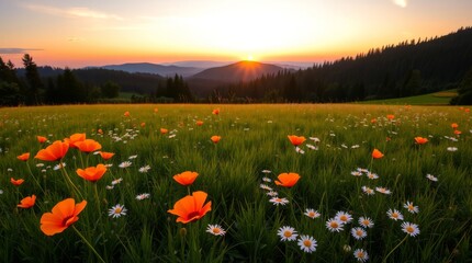 Golden hour in the flower field: At dusk, an expansive field of wildflowers bursts into life with warm colors, catching the final light of the sunset