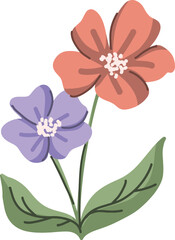 Two Colorful Stylized Flowers with Green Leaves