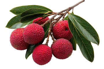 Lychees on a stem with green leaves; textured skin