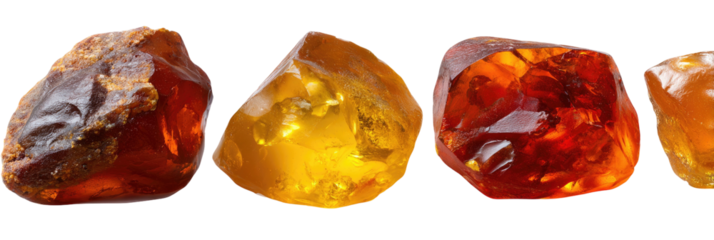 Four amber pieces, warm tones, translucent against black