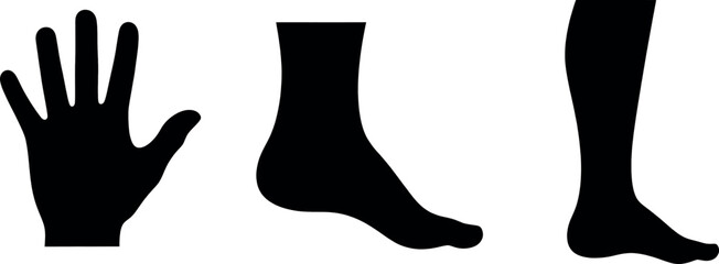  Silhouette icons of human body parts a hand, a foot, and a lower leg with foot, isolated on a